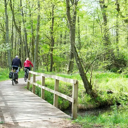 Lägenhet Seeperle - Charmante Mit Kamin Und Kostenfreiem Parkplatz